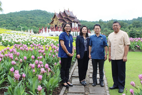 ผู้ว่าราชการจังหวัดเชียงใหม่ ชมความสวยงามของปทุมมา กว่า 2 แสนต้น ที่งานเทศกาลชมสวนฤดูฝน ณ อุทยานหลวงราชพฤกษ์