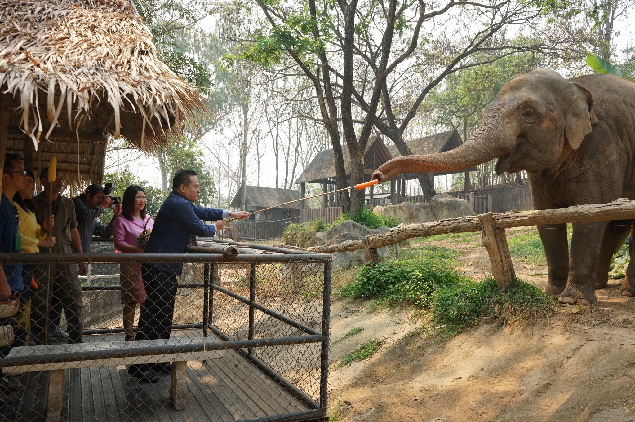 “สวนสัตว์เชียงใหม่ กับกิจกรรมวันช้างไทย 2563”