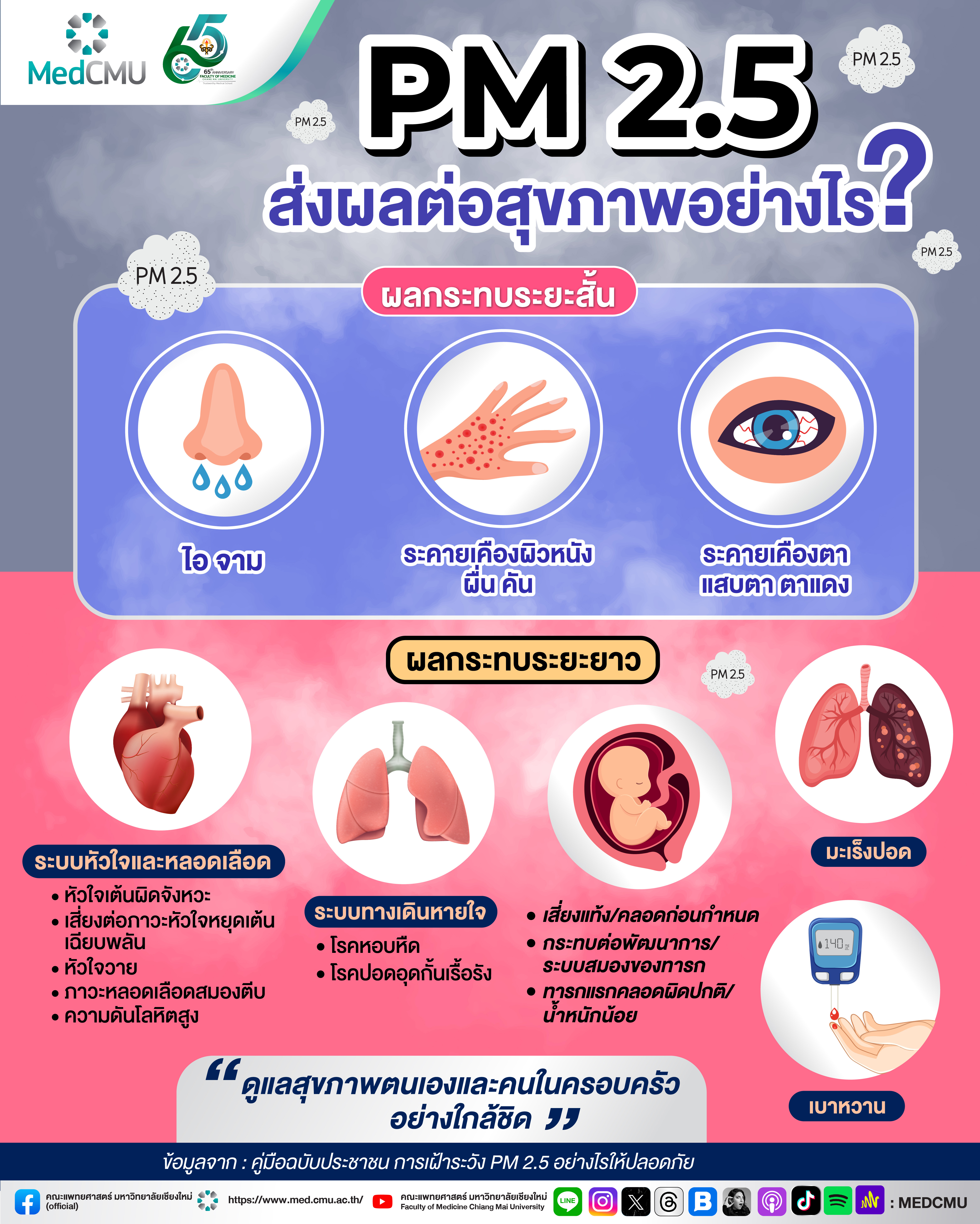 PM 2.5 ส่งผลต่อสุขภาพอย่างไร?